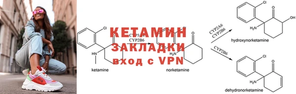 ГАЛЛЮЦИНОГЕННЫЕ ГРИБЫ Сосновка