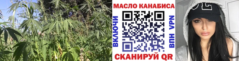 Купить где  Вязьма  ТГК концентрат 