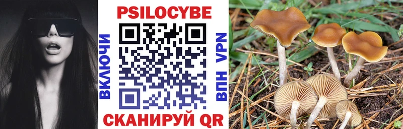 Купить Вязьма Псилоцибиновые грибы MAGIC MUSHROOMS